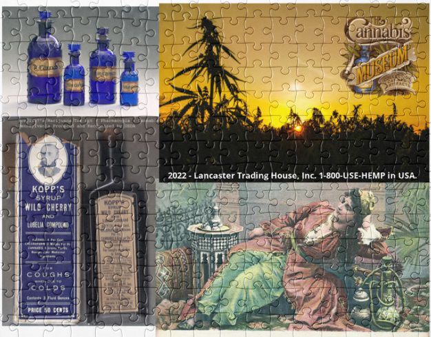 Cannabis Museum License Puzzling