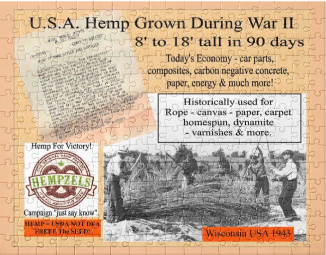 WW2 Wisconsin Hemp Farming News Report