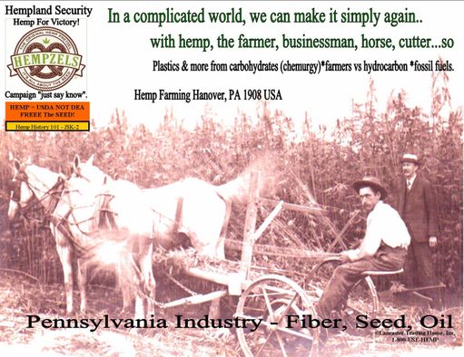 Two horses harned to cut hemp with a farmer on the cutter and a man in a business suit both wearing hats in a 1908 Hanover PA Hemp Field 
