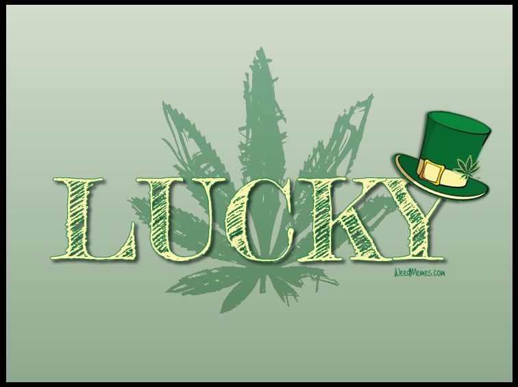 Irish Hat in green is off hung on the Y of Lucky supported in front of the hemp leaf and benefits.