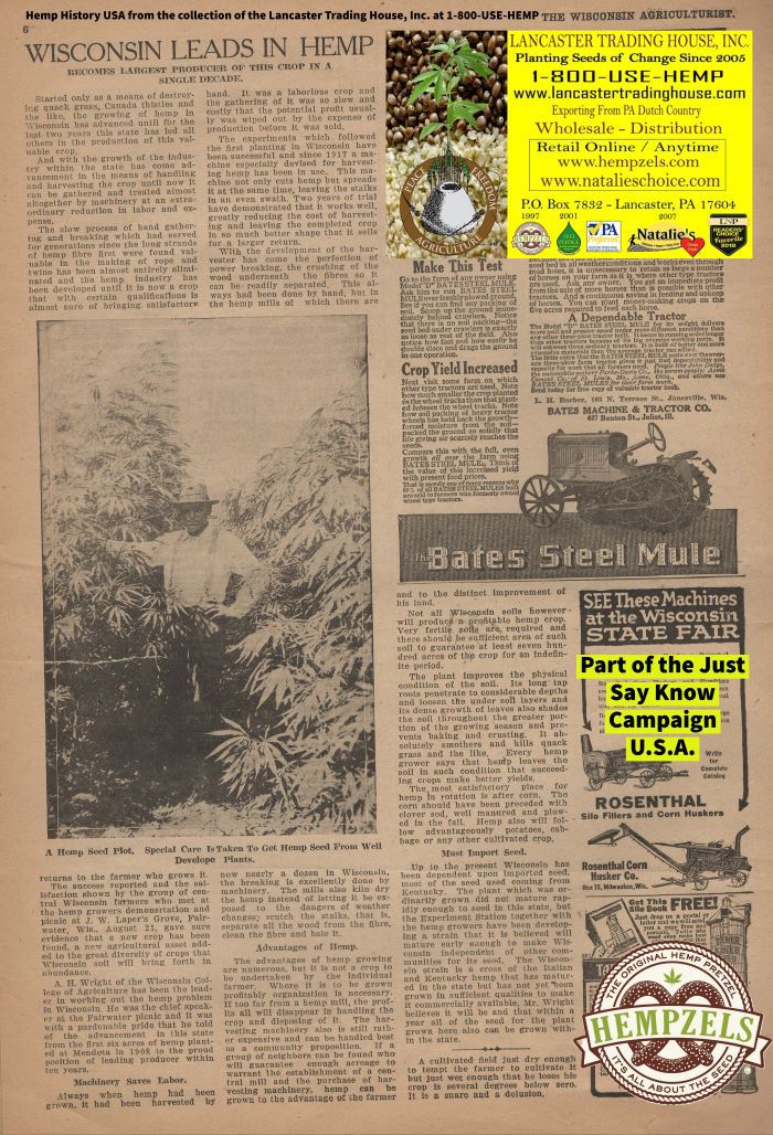 Wisconsin Newspaper showing farmer in hat standing next to his large hemp field.