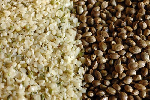 Close up image of shelled hemp seed very white color on the left & whole hemp seed on the right dark brown color.t 