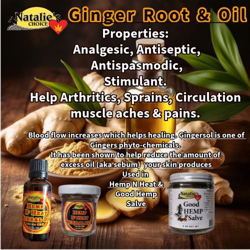 Fresh Ginger root is important in NataliesChoice line of healing topical salves like Good Hemp & Hemp N Heat