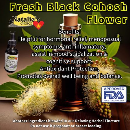 Another part of Relaxing Herbal Tincture is Fresh Black Cohosh flower and here by itself are some of the benefits.