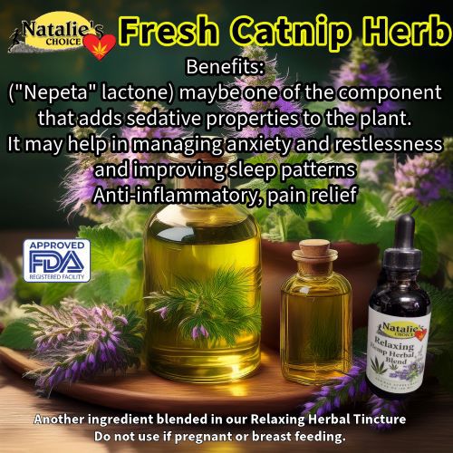 Fresh Catnip if null bloom is grown in Pennsylvania or wild crafted sourced for NataliesChoice Relaxing Herbal Tincture.