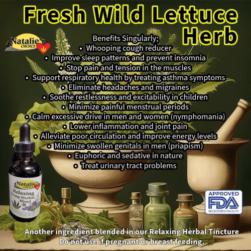 Another ingredient like fresh wild lettuce herb is grown in Pennsylvania on the farm or wild sourced.