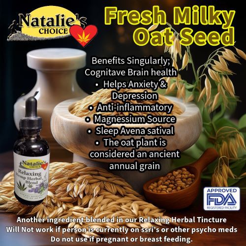 Milky Oat Seeds by itself is very beneficial and an ancient crop used in NataliesChoice Relaxing Herbal Tincture