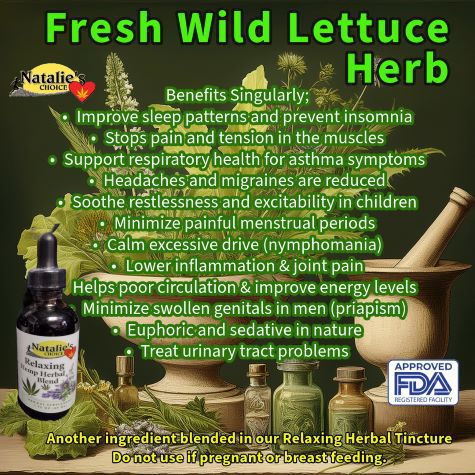 Another ingredient like fresh wild lettuce herb is grown in Pennsylvania on the farm or wild sourced.