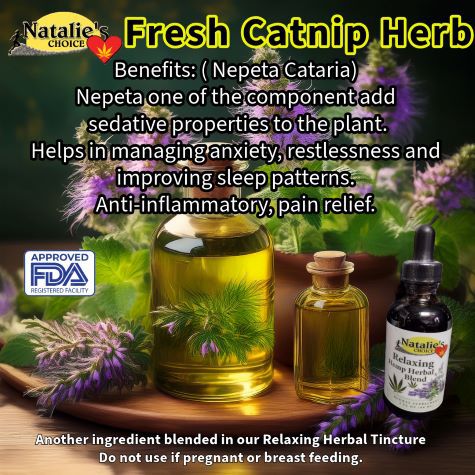 Fresh Catnip if null bloom is grown in Pennsylvania or wild crafted sourced for NataliesChoice Relaxing Herbal Tincture.
