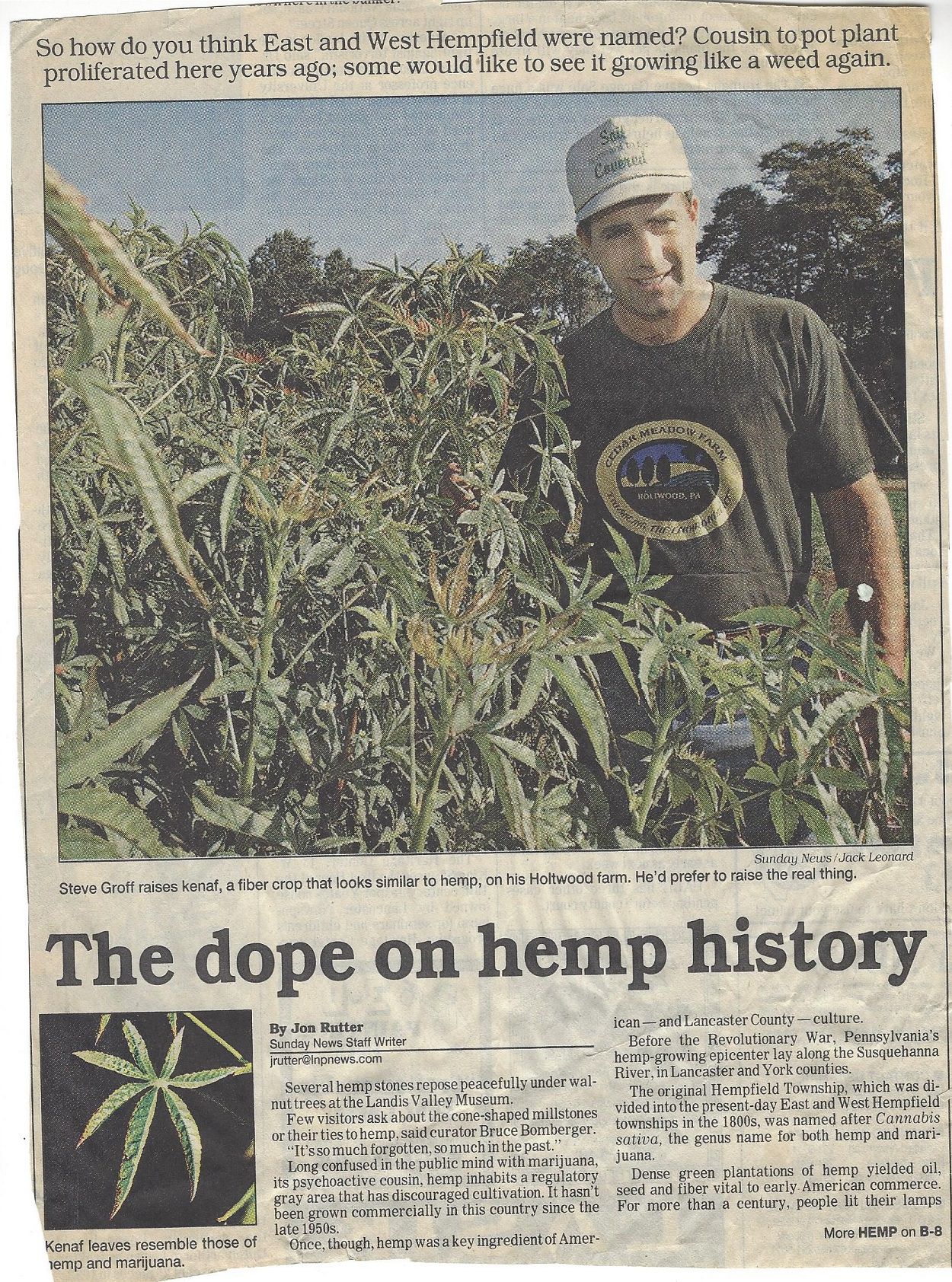 Young Steve Groff stands in his field of Kenaf in Lancaster Newspaper Article.