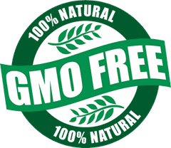 GMO Free Soft Pretzel 