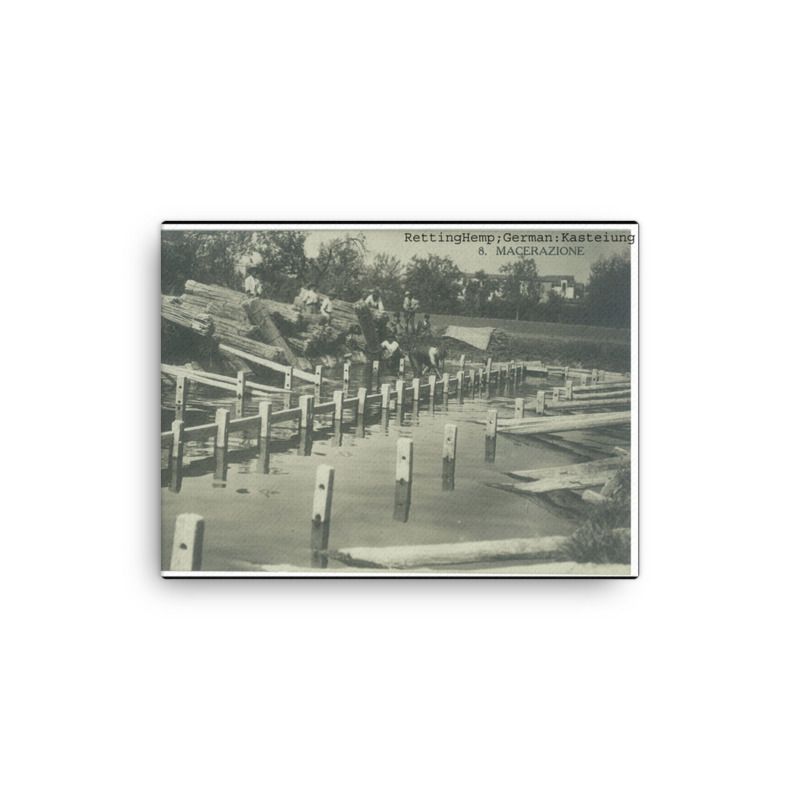 Black and white image of wagons loaded with hemp stalk and near the waters edge ready to be unloaded.