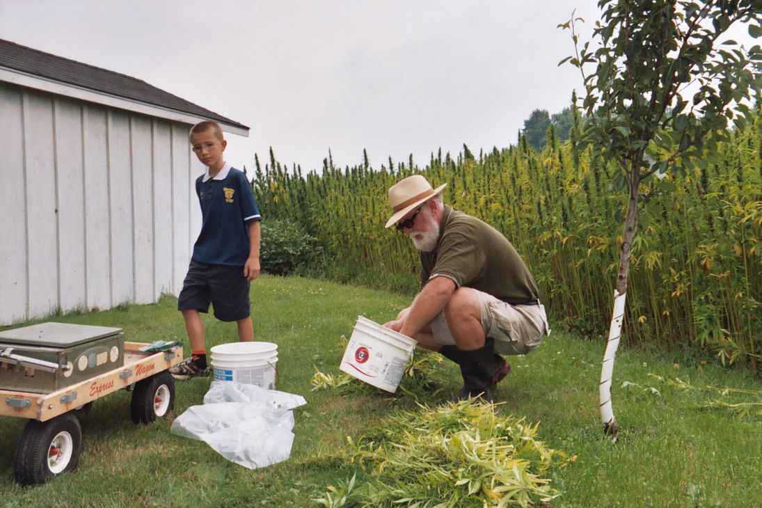 Crouching down with bucket & hemp to study it while young boy in shorts on the farm walks & watches.