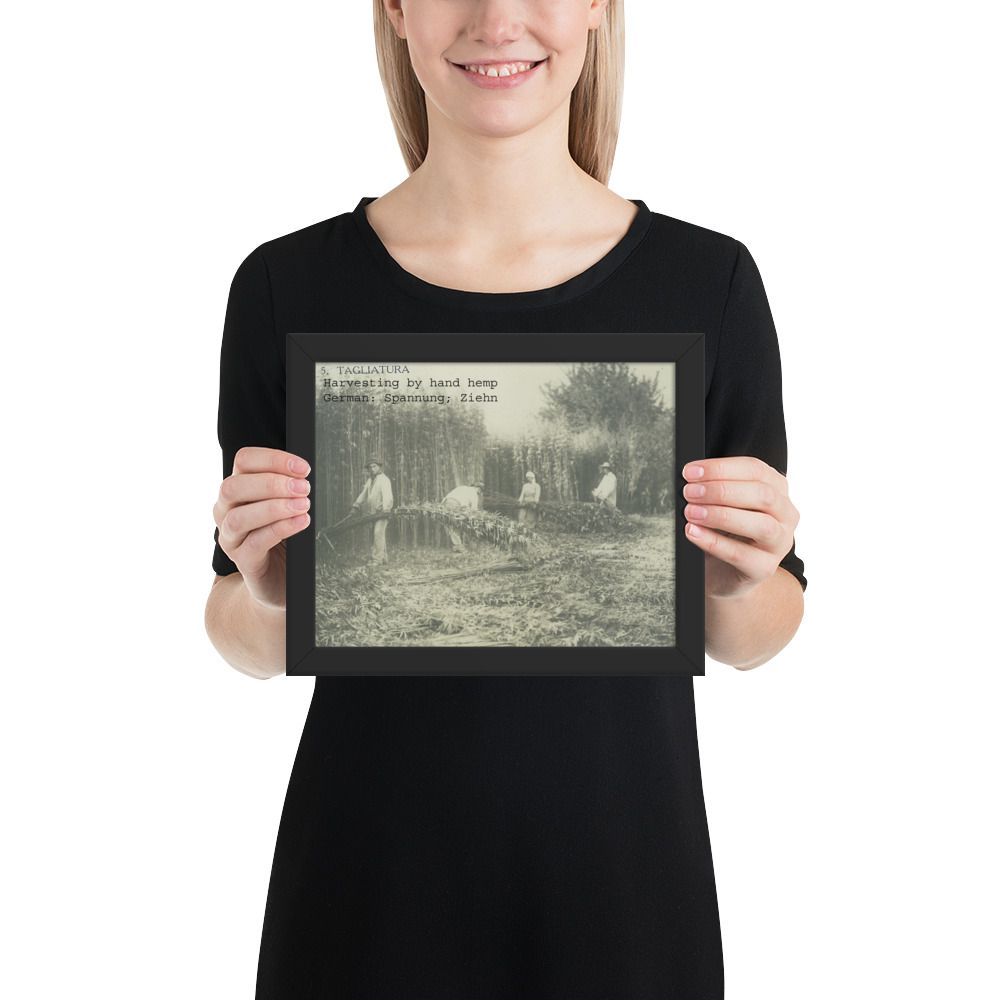 Womans hands holding up a black and white italian hemp field with workers men and women cutting.