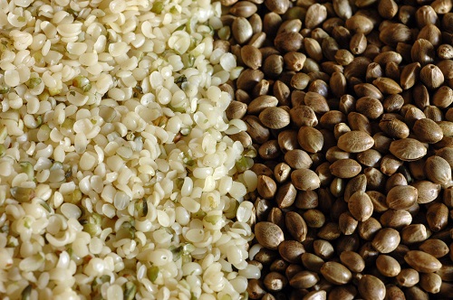 Shelled Vs Whole Hemp Seed