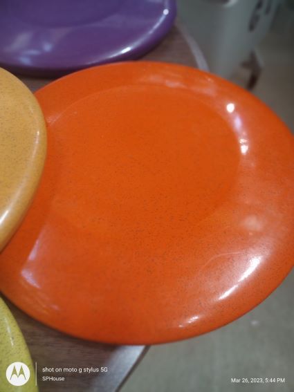 Grist Style 10&quot; Ultimate Frisbee 14 colors