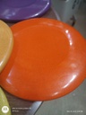 Grist Style 10&quot; Ultimate Frisbee 14 colors