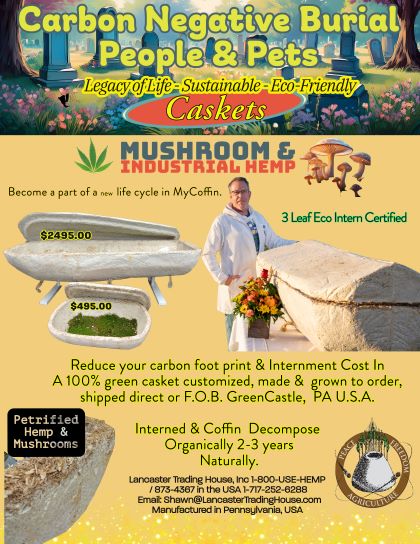 MyCoffin Hemp Mushroom Caskett Grown To Order