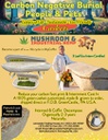 MyCoffin Hemp Mushroom Caskett Grown To Order
