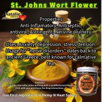 St Johns Wort In our Hemp N Heat oil first