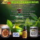 Oil of Peppermint Hemp N Heat Travel Size
