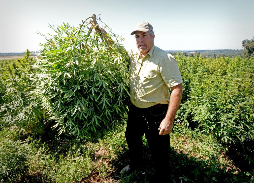 Steve Groff Lancaster Farming hemp