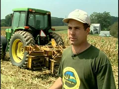 Steve Groff we trust this farmers hemp