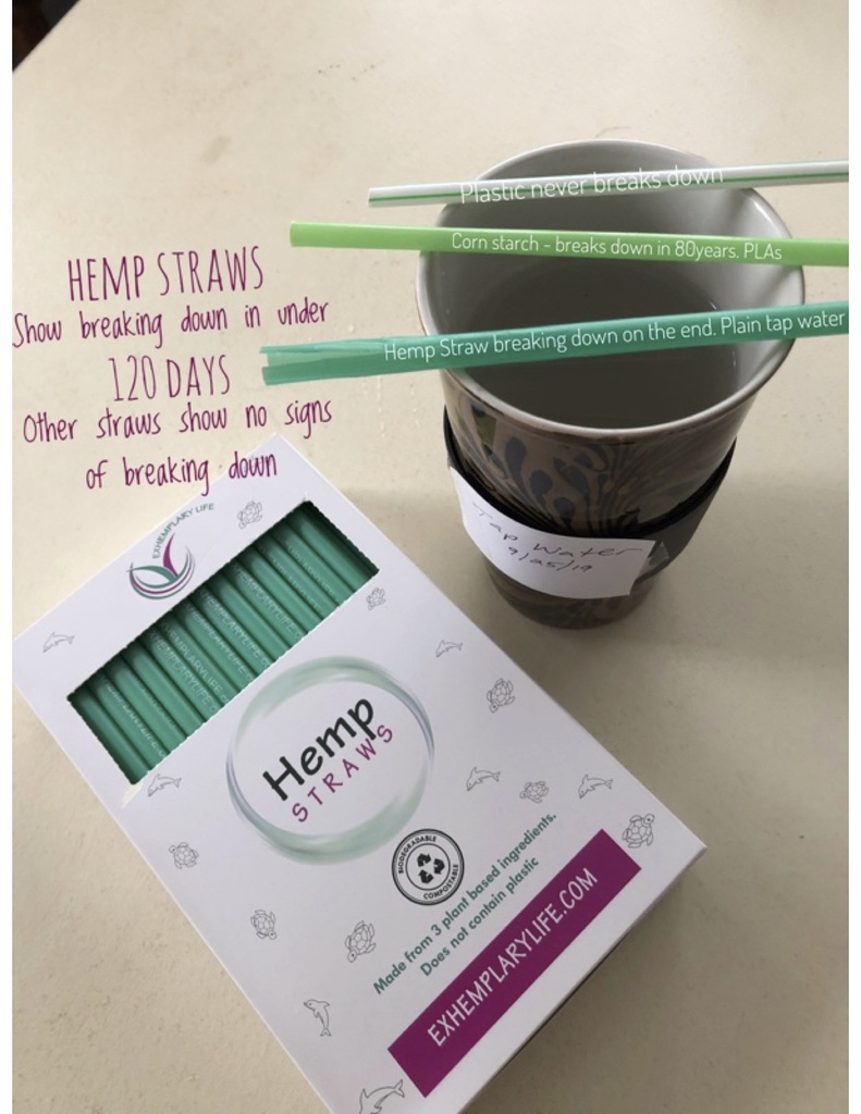 Drinking Straws Box 100 1/3 hemp 2/3 plant based compostable