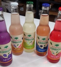 Kombucha Renewal Organic Tea Beverage Just In