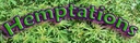 Hemptations